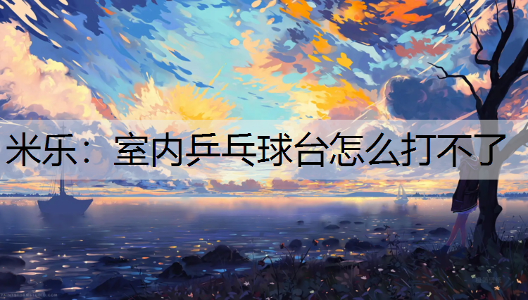 米乐：室内乒乓球台怎么打不了