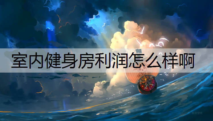 室内健身房利润怎么样啊