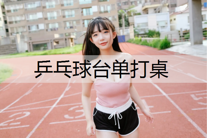 <strong>乒乓球台单打桌</strong>