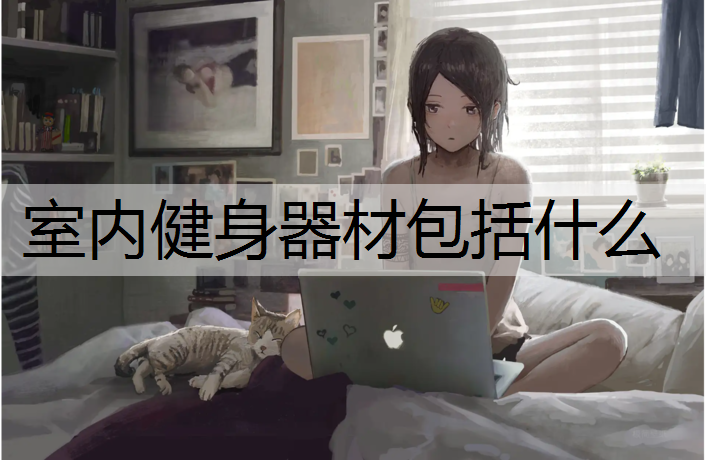 室内健身器材包括什么