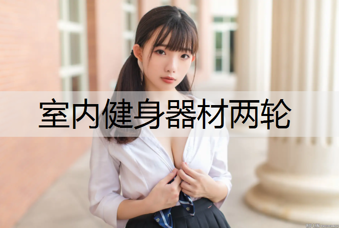 室内健身器材两轮