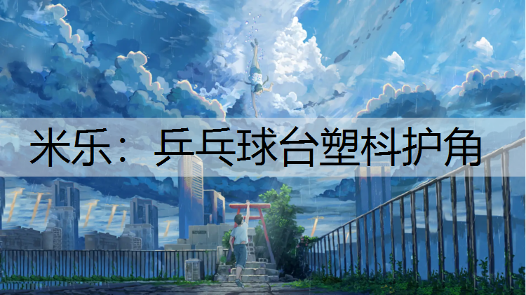 <strong>米乐：乒乓球台塑枓护角</strong>