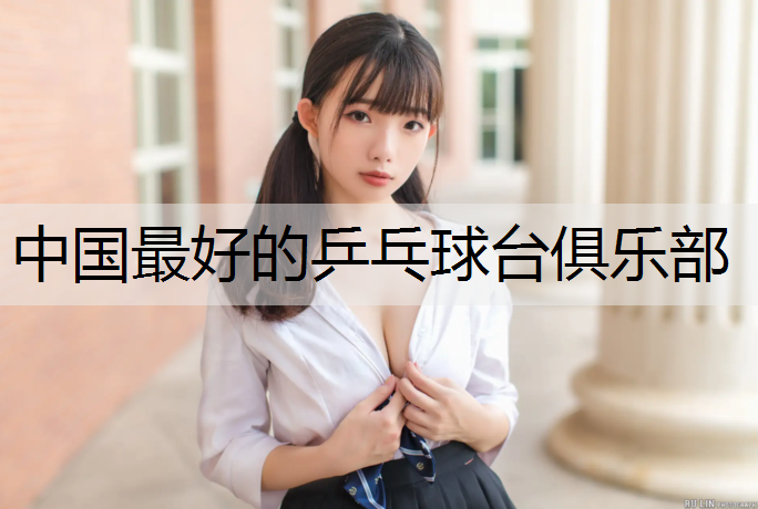 <strong>中国最好的乒乓球台俱乐部</strong>