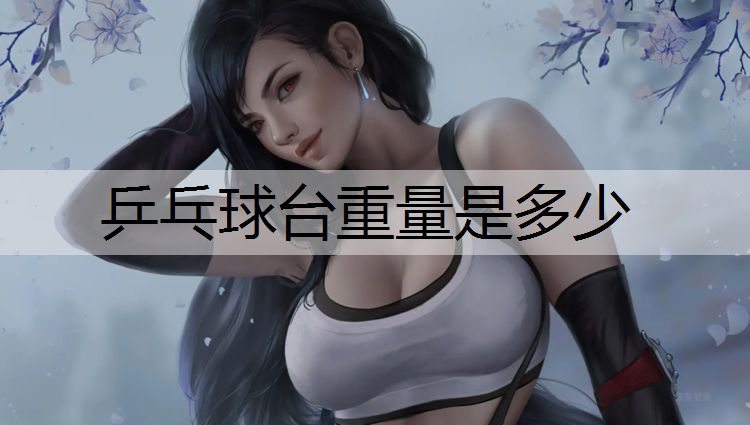 乒乓球台重量是多少