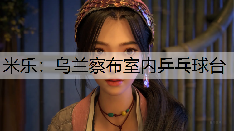 米乐：乌兰察布室内乒乓球台