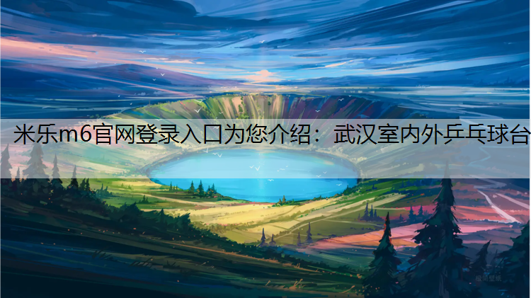 米乐m6官网登录入口为您介绍：武汉室内外乒乓球台
