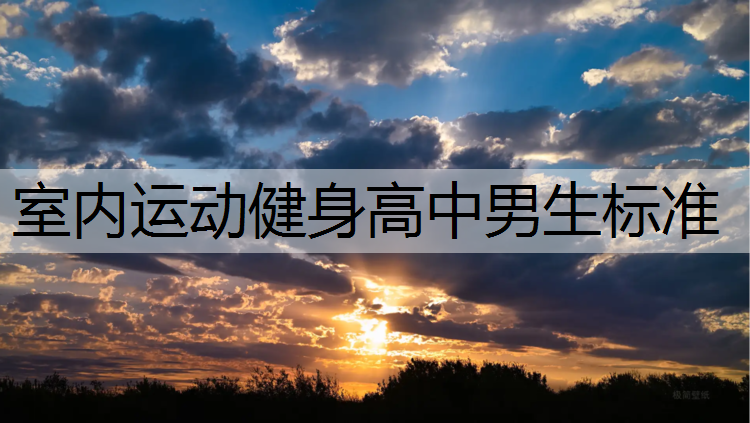 室内运动健身高中男生标准