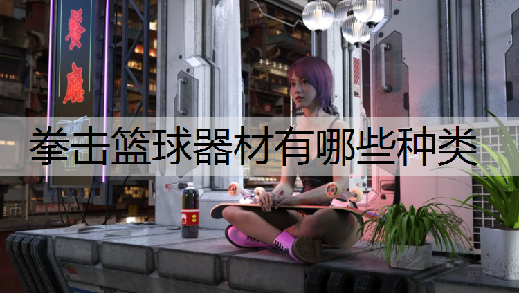 拳击篮球器材有哪些种类