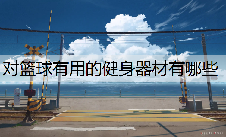 <strong>对篮球有用的健身器材有哪些</strong>
