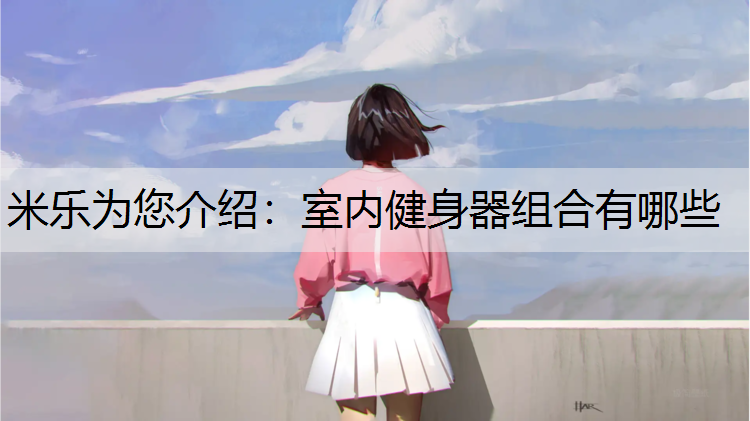 室内健身器组合有哪些