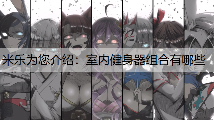 室内健身器组合有哪些