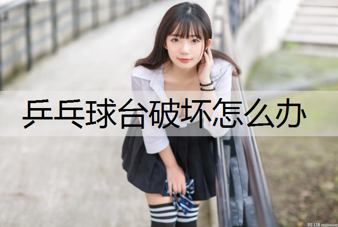 乒乓球台破坏怎么办