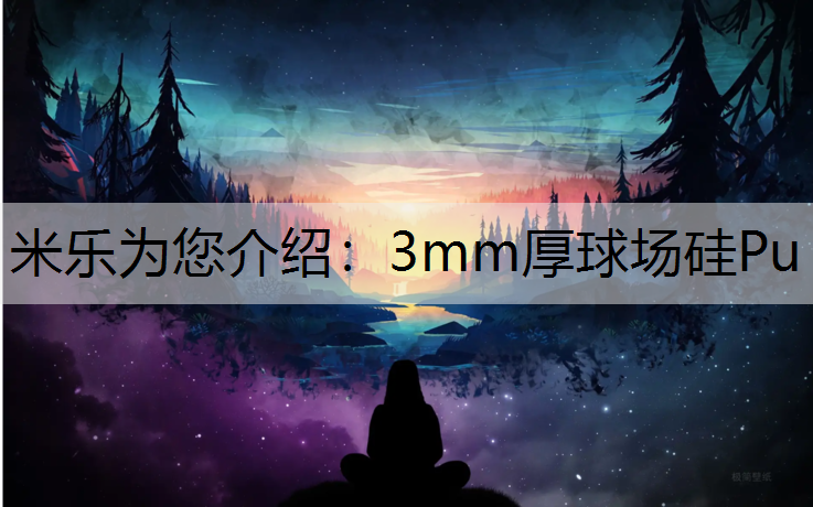 3mm厚球场硅Pu