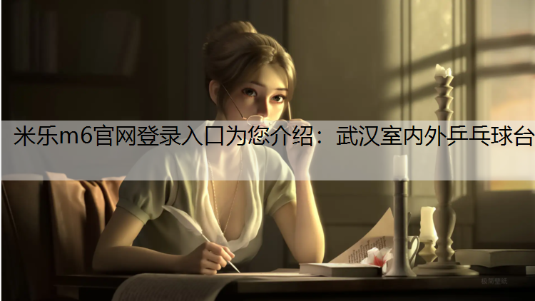 武汉室内外乒乓球台